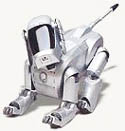 AIBO
