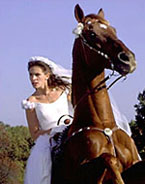 Runaway Bride